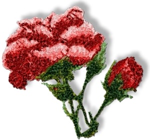 Advanced embroidery designs  newsletter of july 6 2015 Advanced embroidery designs  newsletter of july 6 2015