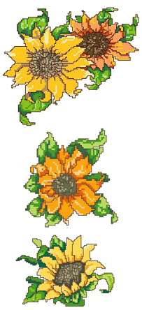 Sunflower Collection