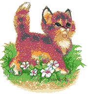 Kitty in a Meadow Kitty in a Meadow