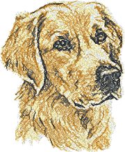 Golden Retriever Golden Retriever