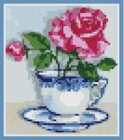 Rose in a China Cup