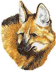 Maned Wolf Maned Wolf