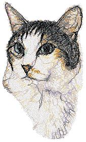White Cat White Cat