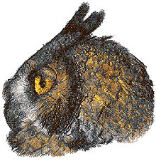 Horned Owl I