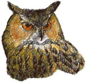 Horned Owl II