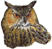 Horned Owl II