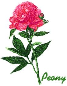 Garden Flower Series: Peony Garden Flower Series: Peony