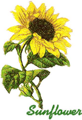 Advanced Embroidery Designs - Sunflower