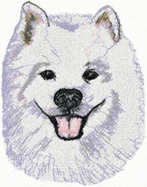 Samoyed (Bjelkier)