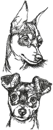 Miniature Pinscher Coloring Pages