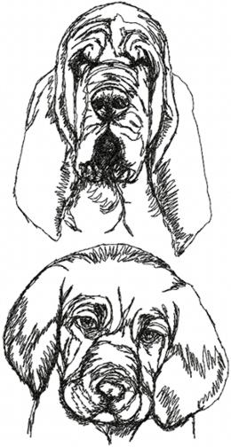 Bloodhound Set