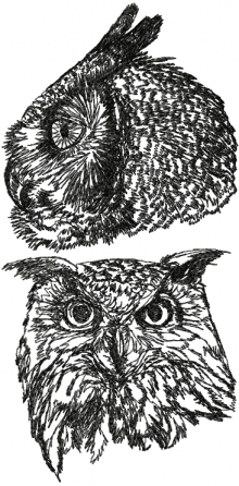 Horned Owl Set