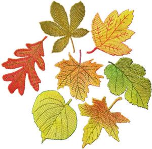 FSL Autumn Leaves Set