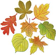 FSL Autumn Leaves Set
