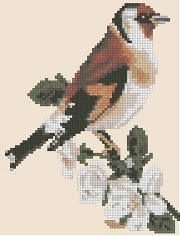 Goldfinch