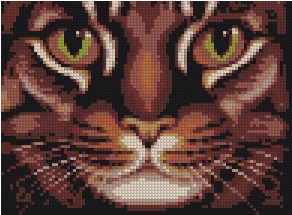 Feline Eyes