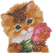 Kitty with Rose