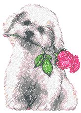 Puppy with Rose
