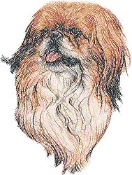 Pekingese