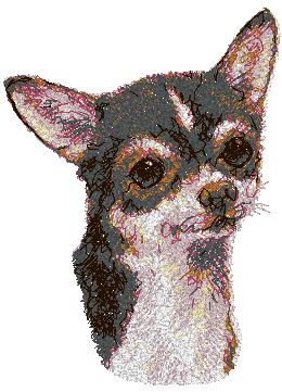 Chihuahua III