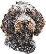 Spinone Italiano (Italian Wire-haired Pointer)