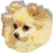 Pomeranian II