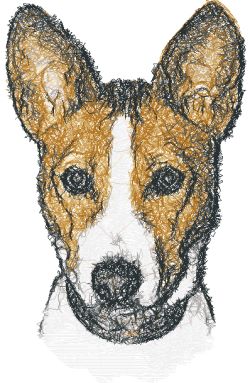 Basenji