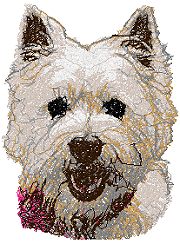 West Highland White Terrier