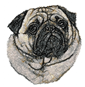 Pug