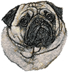 Pug