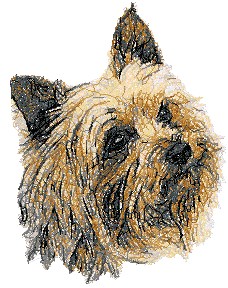 Yorkshire Terrier II