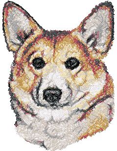 Pembroke Corgi