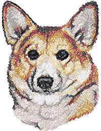 Pembroke Corgi