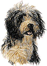 Bearded Collie (Beardie)