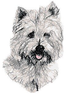 Cairn Terrier