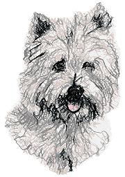 Cairn Terrier