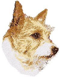 Norwich Terrier