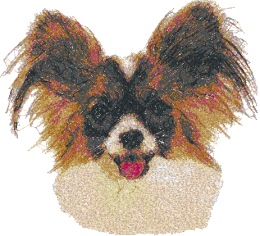 Papillon (Continental Toy Spaniel)