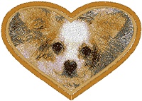 Chihuahua in a Heart