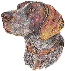 German Shorthaired Pointer