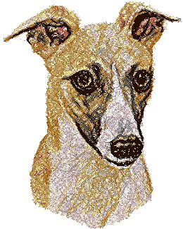 Whippet II