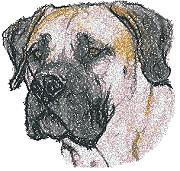 Boerboel