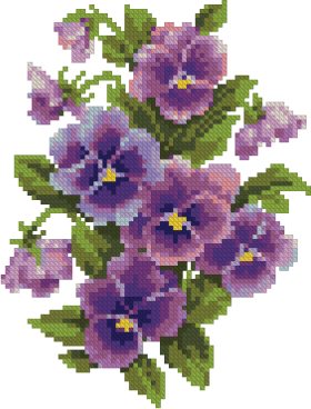 Pansies