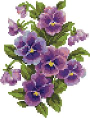 Pansies