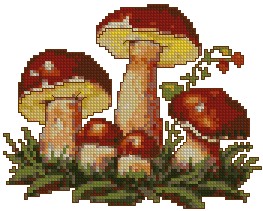 Boletus