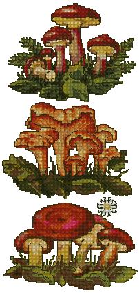 Mushroom Set II