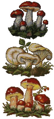 Mushroom Set I