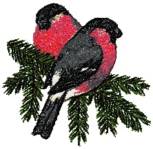 Bullfinches on a Tree