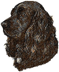 Cocker Spaniel