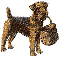 Welsh Terrier